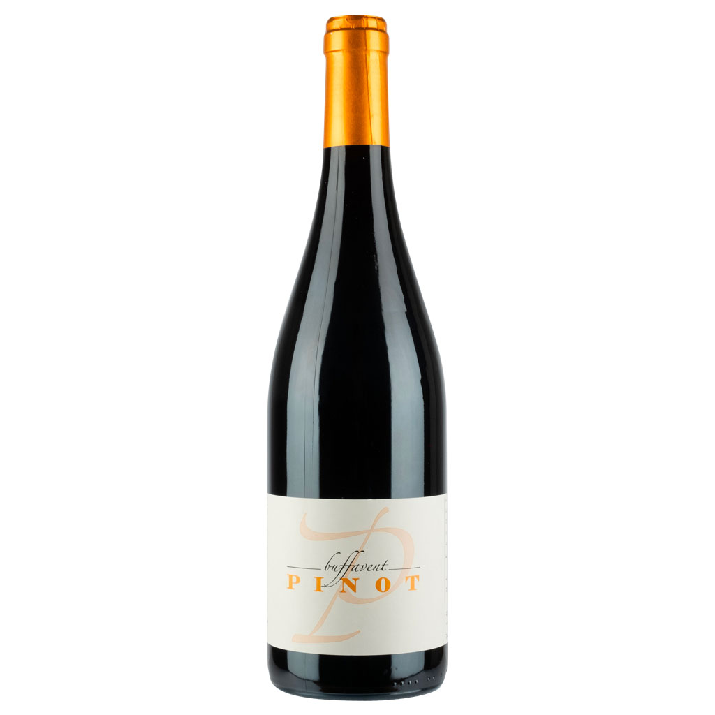 Chateau-de-Buffavent_Pinot Beaujolais cépage pinot noir